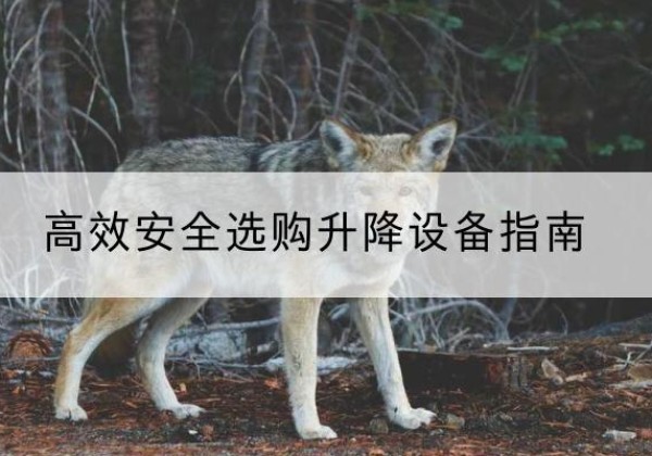 宁安升降货梯厂家推荐-*安全选购升降设备指南