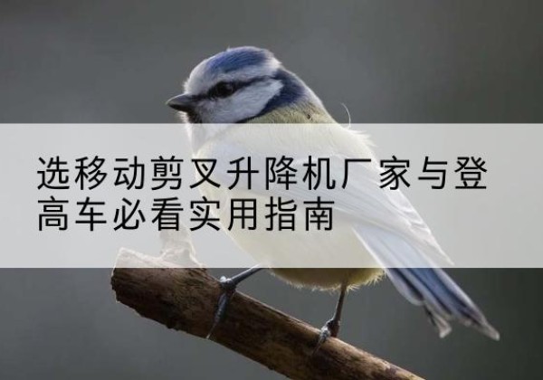 宁安电动升降机厂家-选移动剪叉升降机厂家与登高车必看实用指南