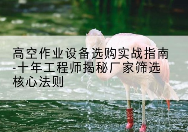 宁安剪叉式升降机厂家-高空作业设备选购实战指南-十年工程师揭秘厂家筛选核心法则